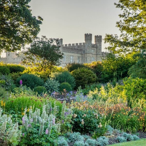 Winter Midweek Day Ticket