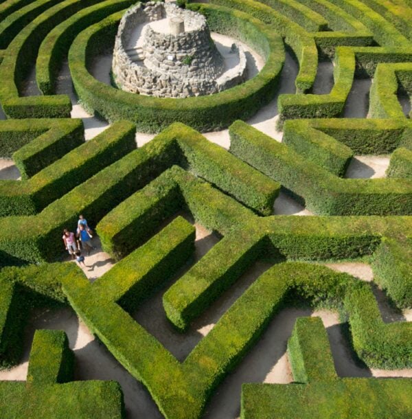 Winter Midweek Day Ticket