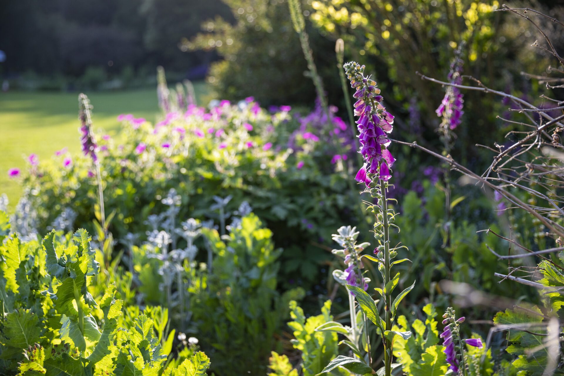 Princess Alexandra Gardens