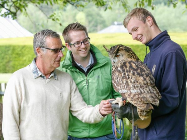 Bird of Prey Experience