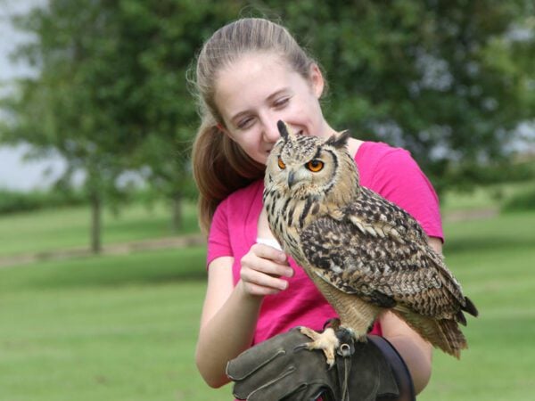 Falconer for the Day