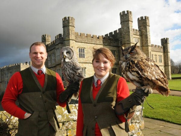 Falconer for the Day