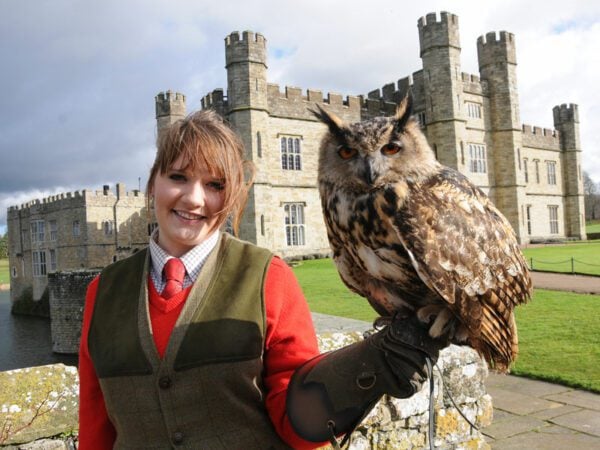 Falconer for the Day