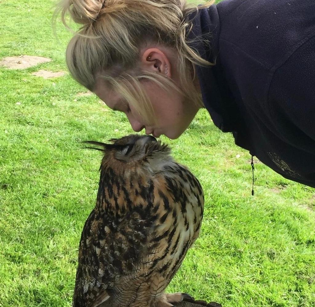 Hannah - Leeds Castle Falconry Team