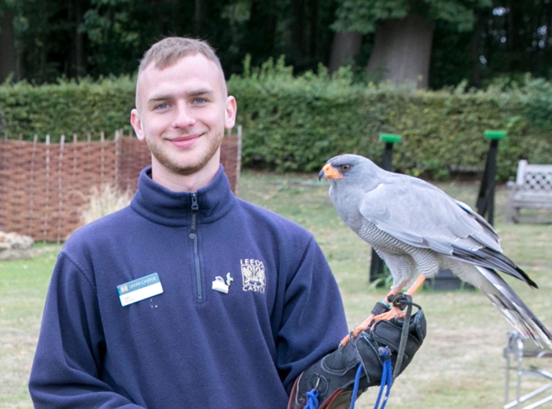 Sam - Leeds Castle Falconry Team