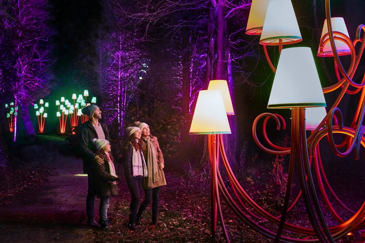 Christmas Light Display Leeds Castle