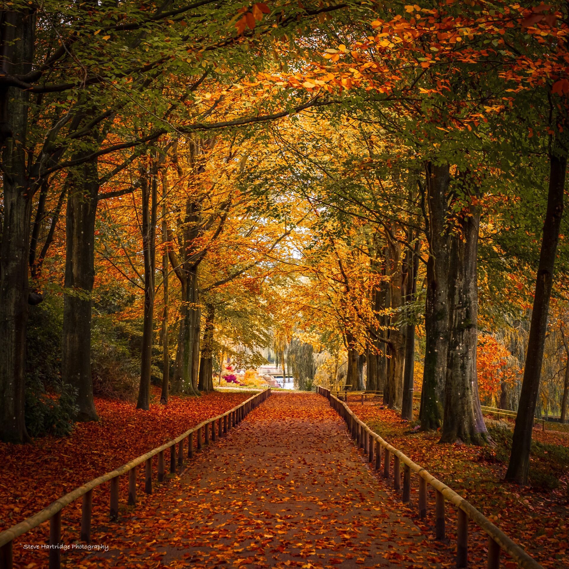 Autumn Strolls at Leeds Castle