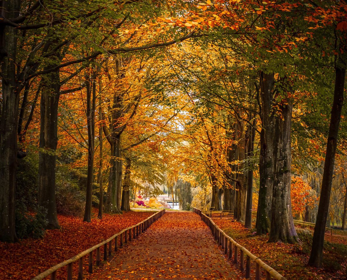 Autumn at Leeds Castle