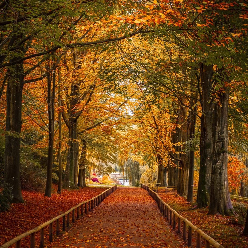 Autumn at Leeds Castle
