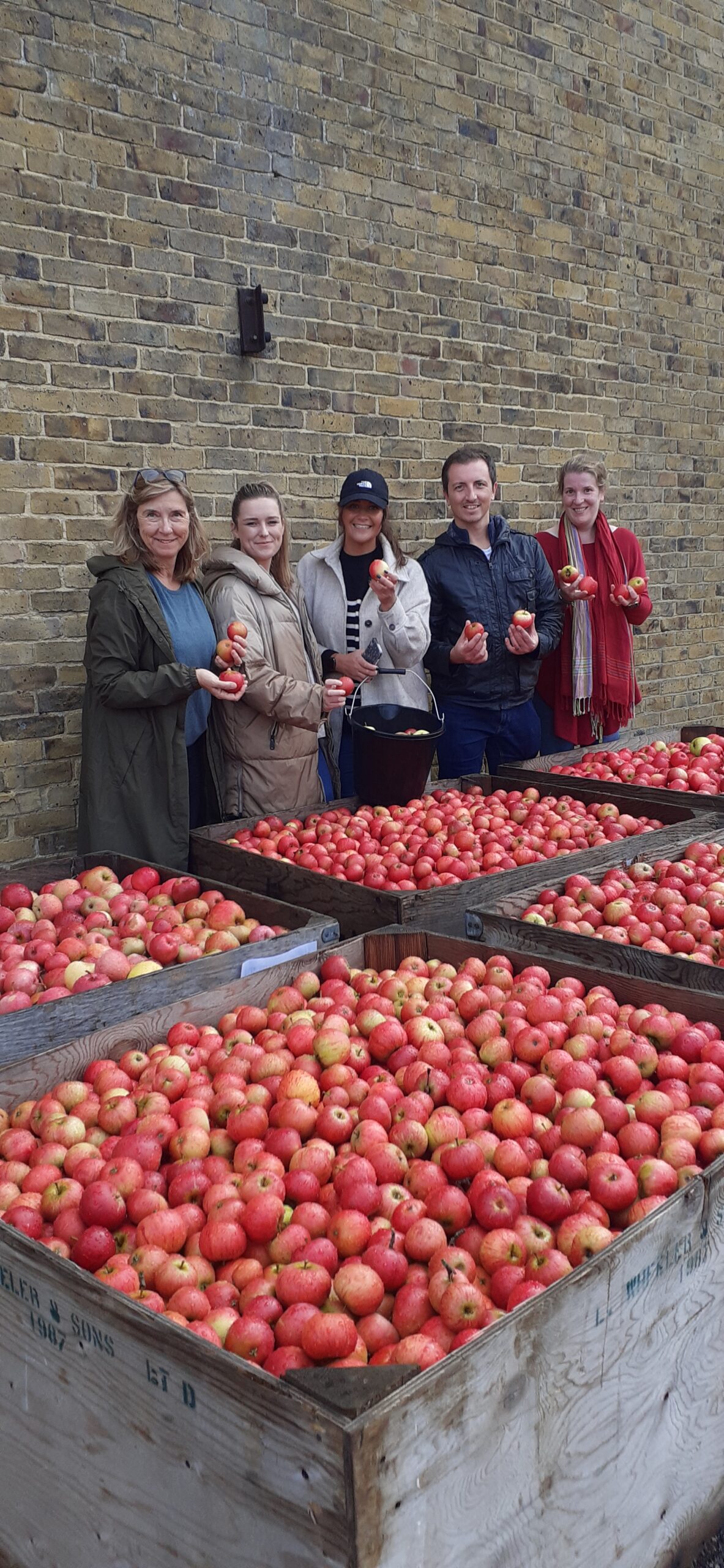 6 crates of apples in front of five people smiling at the camera