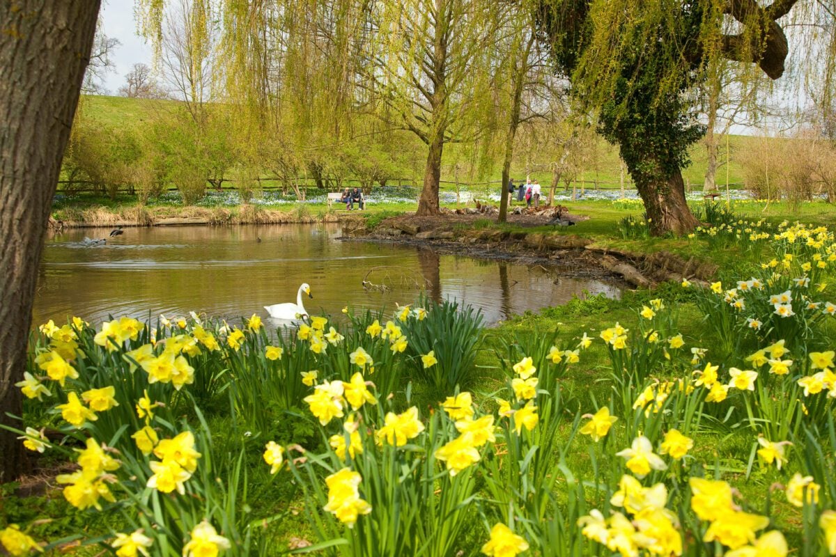Walks at Leeds Castle in Kent