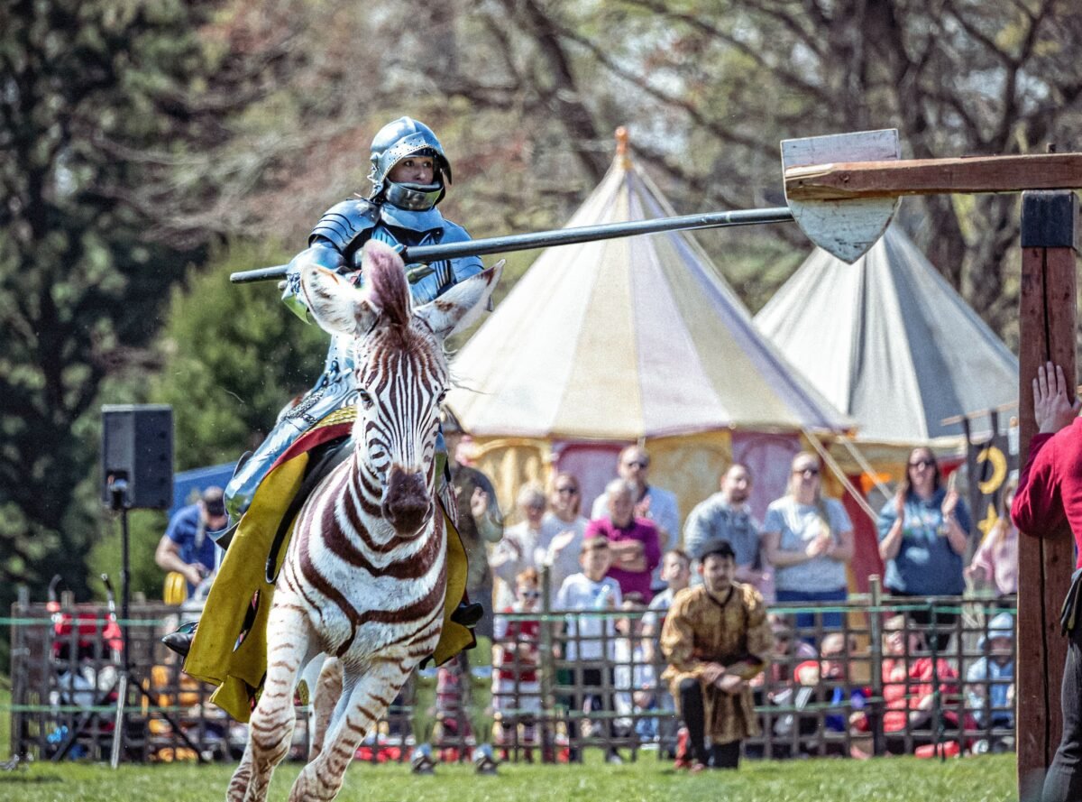person in a suit of armour jousting on zebra - Leeds castle