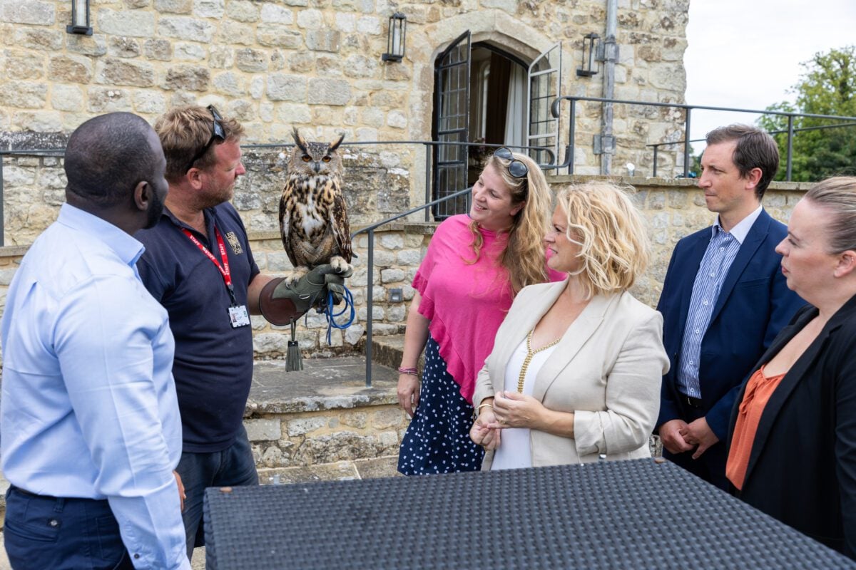 Corporate Retreat - Falconry