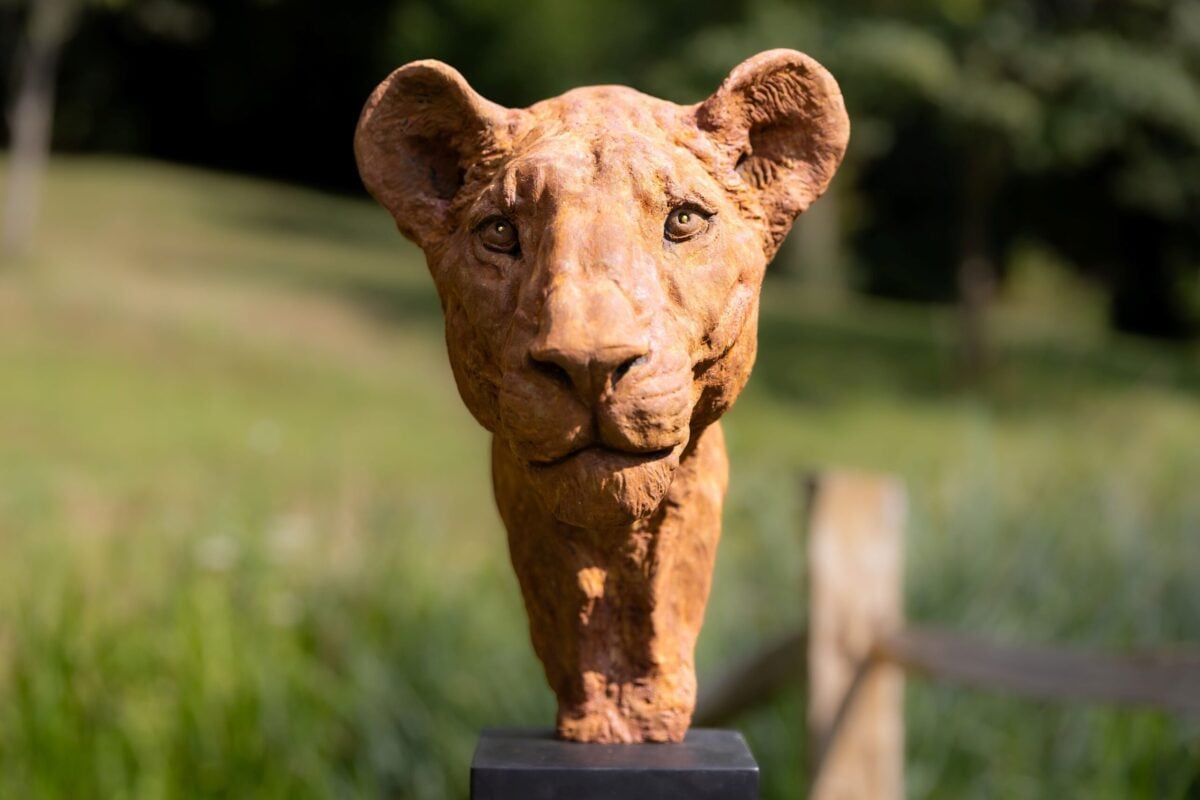 Sculpture trail at Leeds Castle, art exhibition.