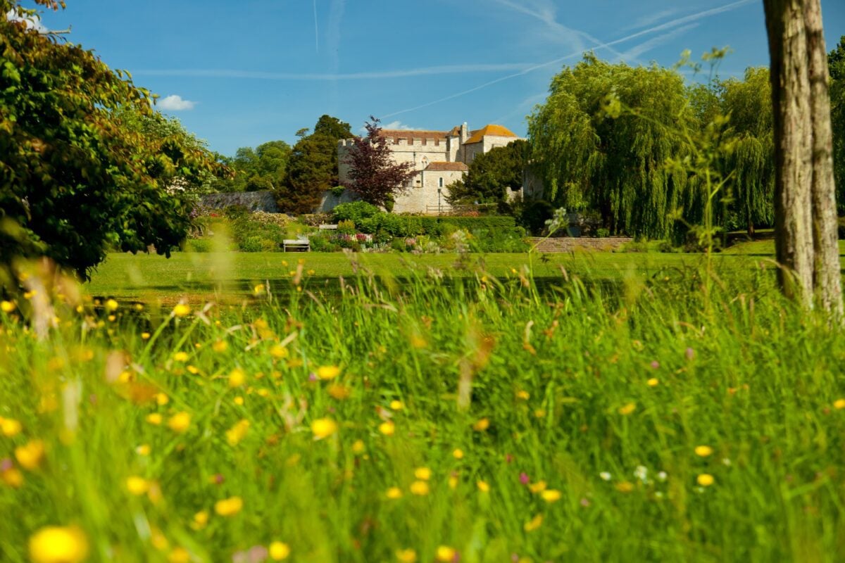 Leeds Castle Wildflower Meadow