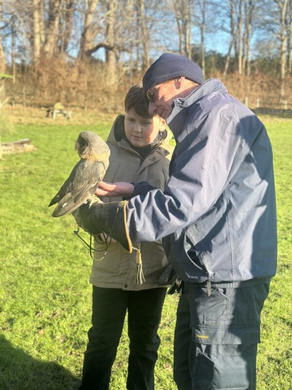 Kids Falconry Experience